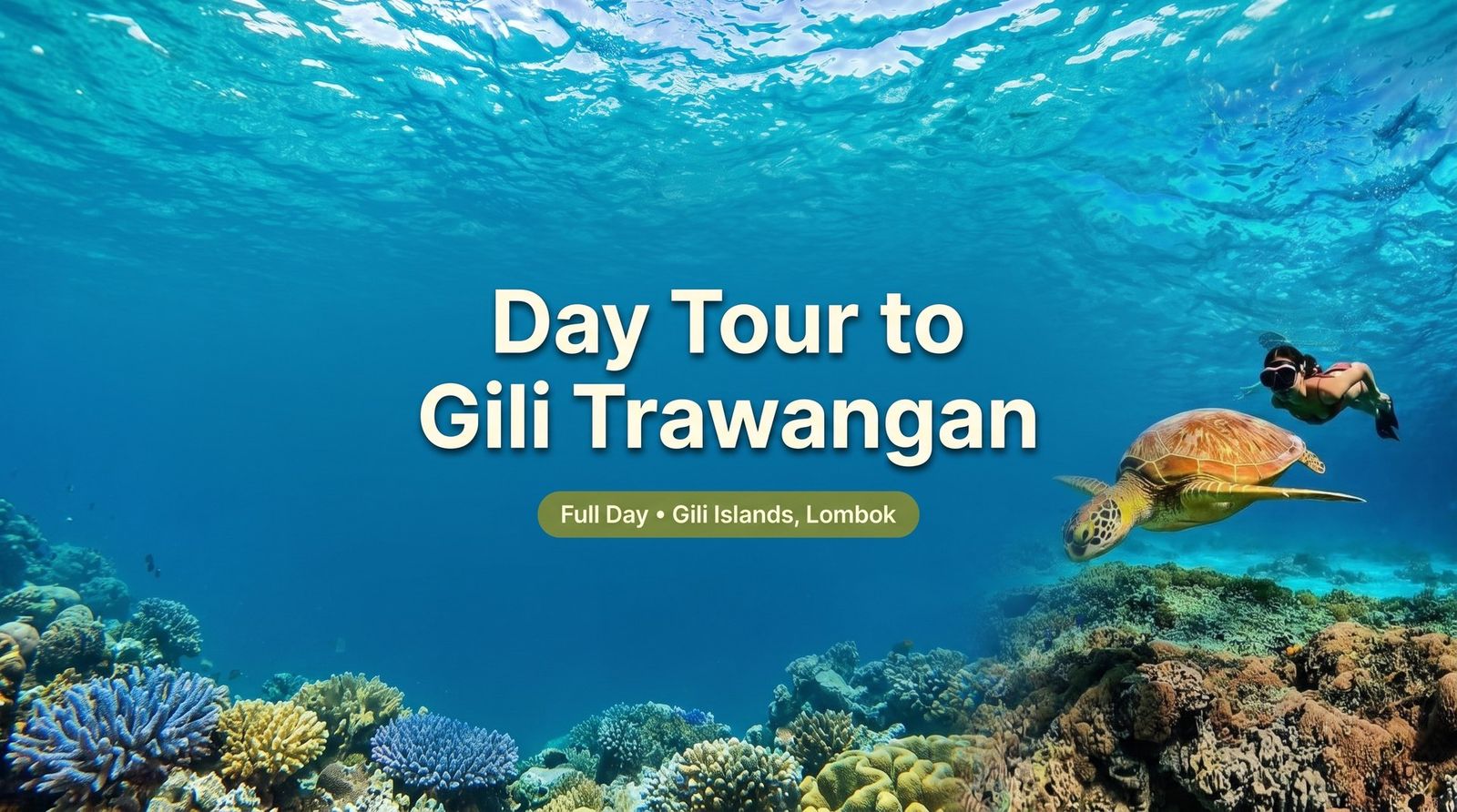 Day Tour to Gili Trawangan (Hopping Islands & Snorkeling)