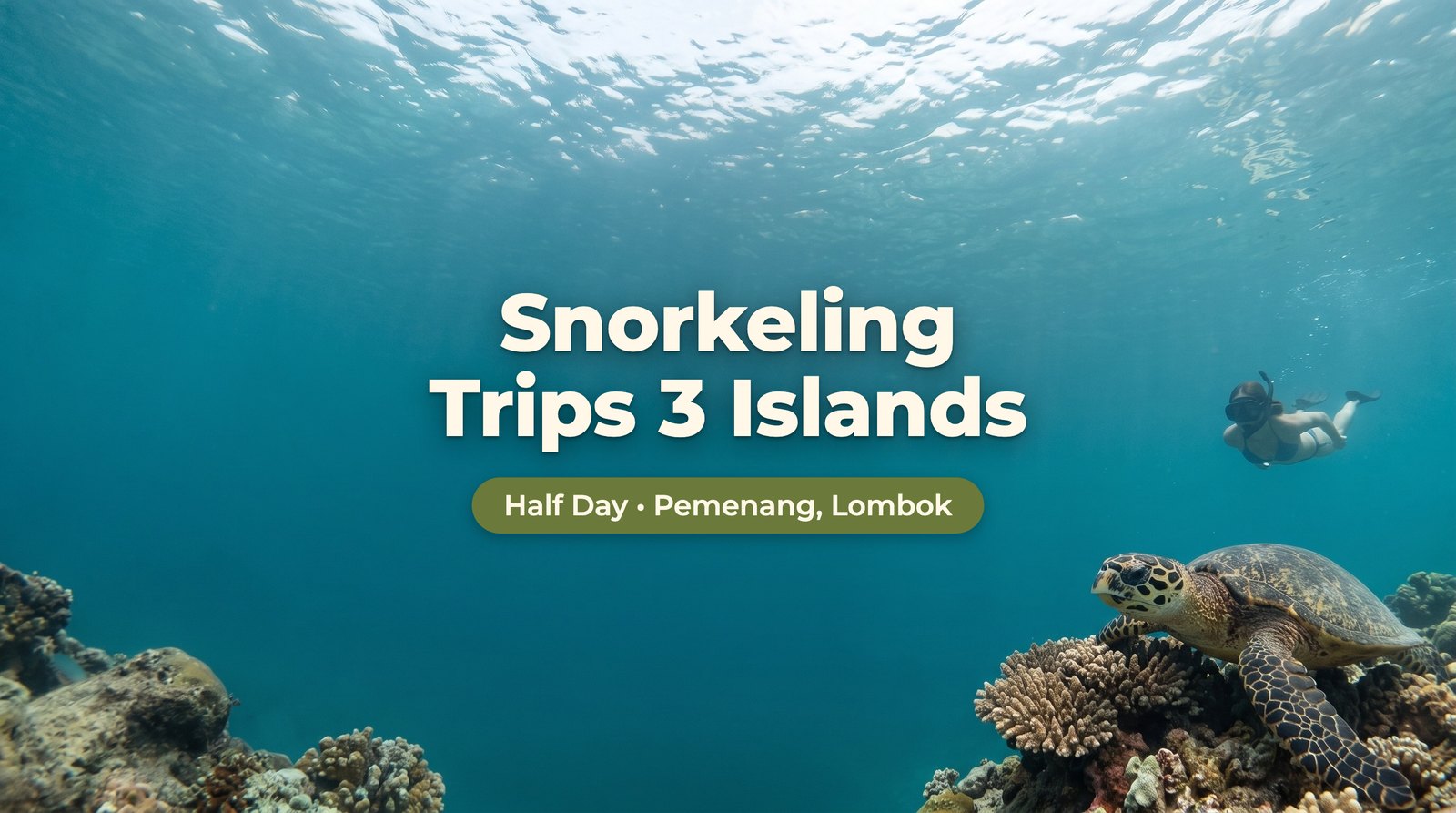 Snorkeling Trips 3 islands